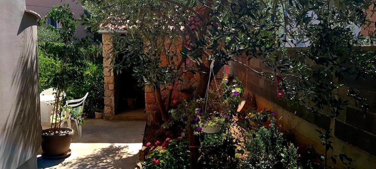 Apartment Danijela Zadar Dış mekan fotoğraf