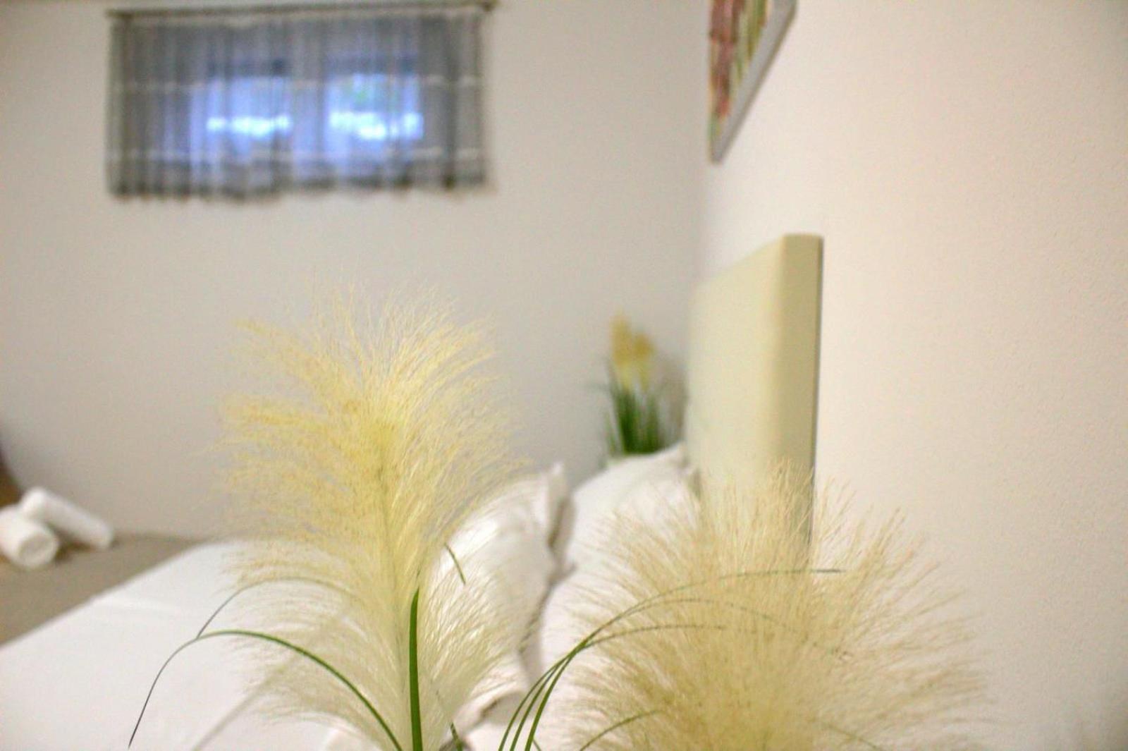 Apartment Danijela Zadar Dış mekan fotoğraf