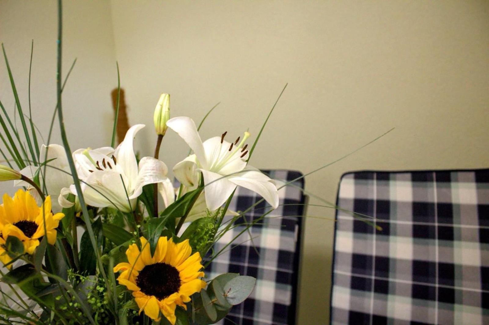 Apartment Danijela Zadar Dış mekan fotoğraf