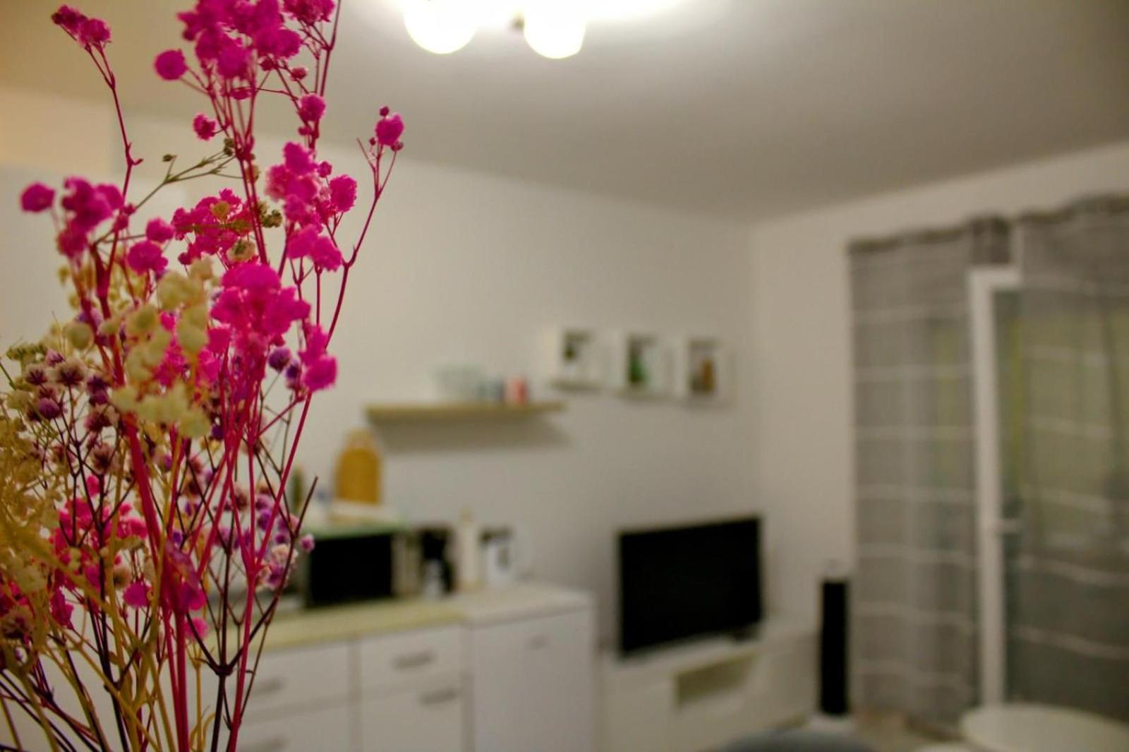 Apartment Danijela Zadar Dış mekan fotoğraf