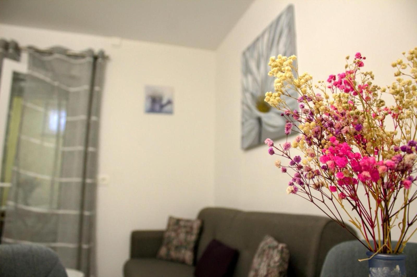 Apartment Danijela Zadar Dış mekan fotoğraf